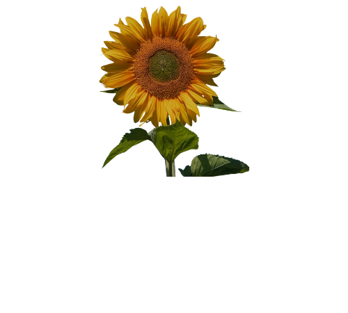 odyssey girls charity